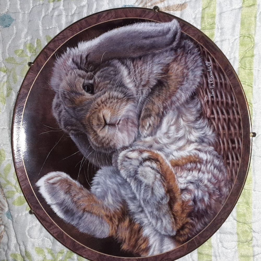 Bunny Tales plate
